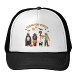 Halloween Trick or Treat Dogs Mesh Hat