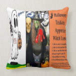 Halloween Witch Apprentice License Throw Pillows pillows