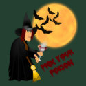 Halloween Witch Party Shirt shirt