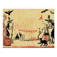 Halloween Witches Postcard