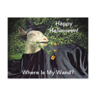 Halloween Wizard Goat postcard