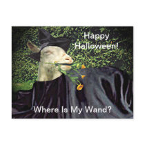 Halloween Wizard Goat Postcards
