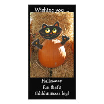 HalloweenCatAndPunkin photo cards