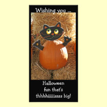HalloweenCatAndPunkin photo cards