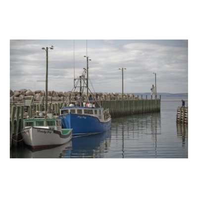 Hall's Harbour Print by sruhs