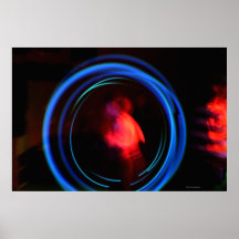 Halo #2 - Fine Art Print