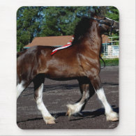 halter class for clydesdales mousepads