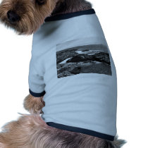 Halter Collection Pet Clothes