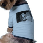 Halter Collection Pet Tshirt
