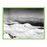 Halter Collection Postcards