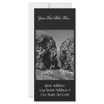 Halter Collection Custom Rack Cards