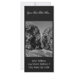 Halter Collection rack cards