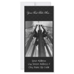 Halter Collection rack cards