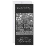 Halter Collection rack cards