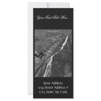 Halter Collection Rack Card Template