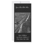 Halter Collection rack cards