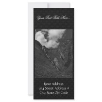 Halter Collection Custom Rack Card