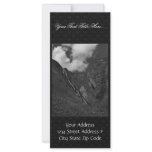Halter Collection rack cards