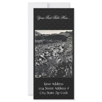 Halter Collection Customized Rack Card