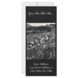 Halter Collection rack cards