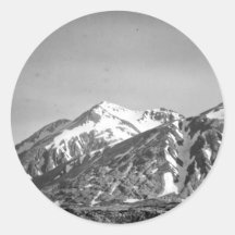 Halter Collection Round Stickers