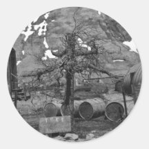 Halter Collection Round Stickers