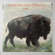 Haltom Buffalo Print