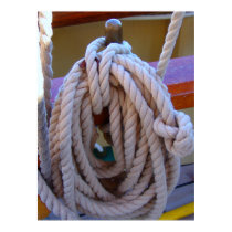 halyard print