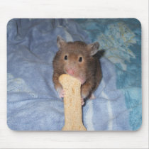 Ham-Bone Mouse Mats