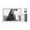 Ham It Up postage
