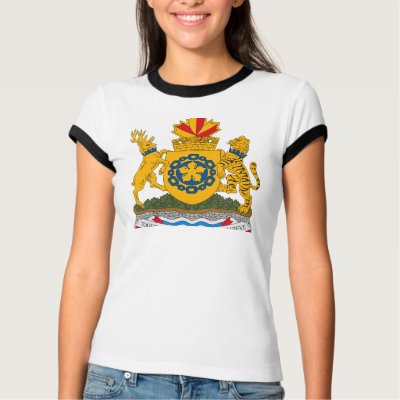 Hamilton Coat of Arms T-shirt by FlagTshirts