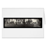 Hamilton College Photo 1913 Greeting Cards