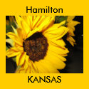 Hamilton KANSAS sunflower tote bag