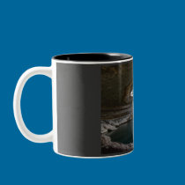 Hamilton Pool mugs