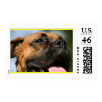 Hamish postage