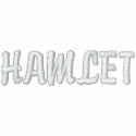 HAMLET embroidered shirts