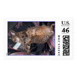 Hamlet.jpg Stamps