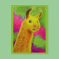 HamLlama Postcard postcards