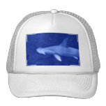 Hammerhead Shark Baseball Hat