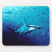 Hammerhead shark mouse pads