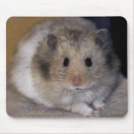 Hammie Mousemat