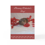 Hammie Valentine's Day cards