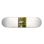 Hammock and Palm Trees by the Ocean skateboard