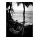 Hammock Overlooking the North Shore posters