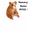 Hammy Hams RULE ! t-shirts by Animal_Junction Hammy Hams RULE ! t-shirts