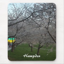 Hampden mousepads