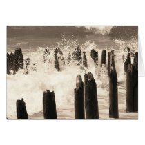 Hampton Beaches cards