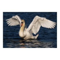 Hampton Court Swan, by Gary Dorking Print