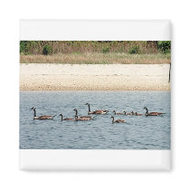 Hamptons Afternoon magnet magnets