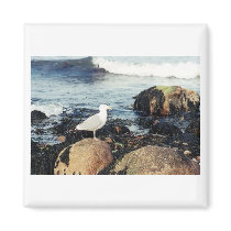 Hamptons Seagull magnet magnets